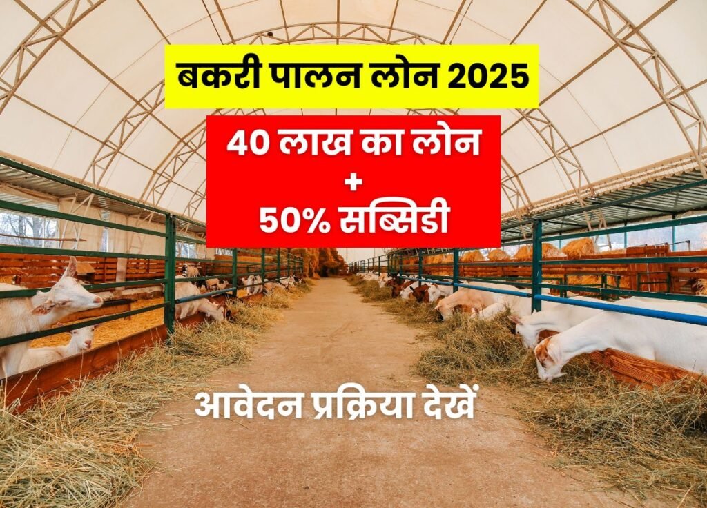 Bakri Palan Business Loan 2025 Process